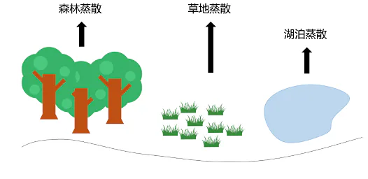 第81题图