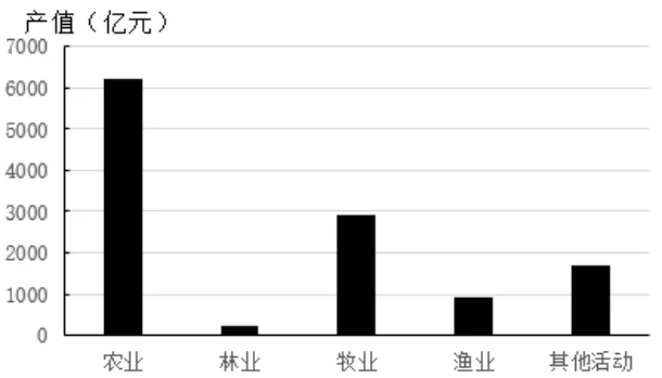 选项A