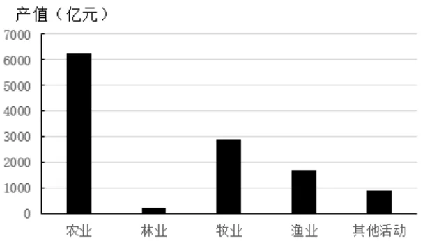 选项B