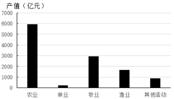 选项C
