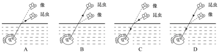 第29题图